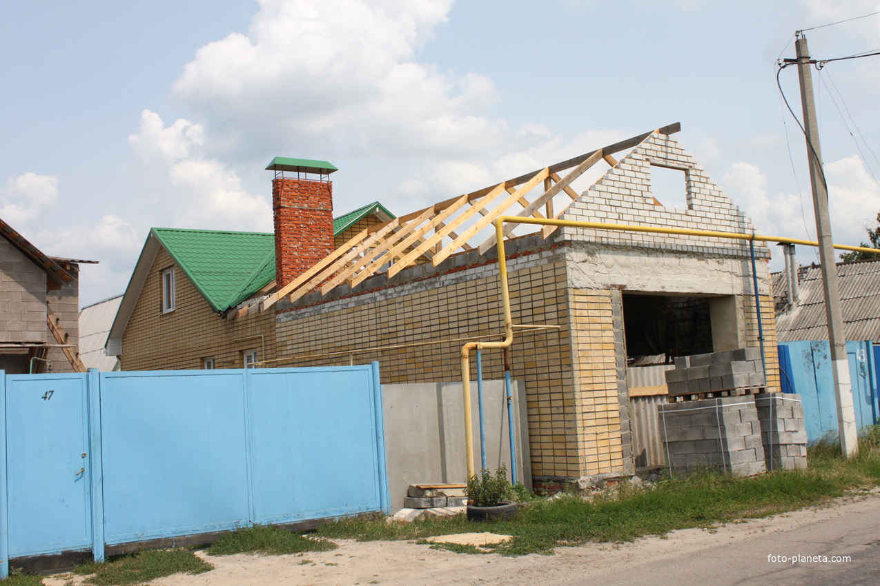 Беломестное. Ул. Центральная, 47.