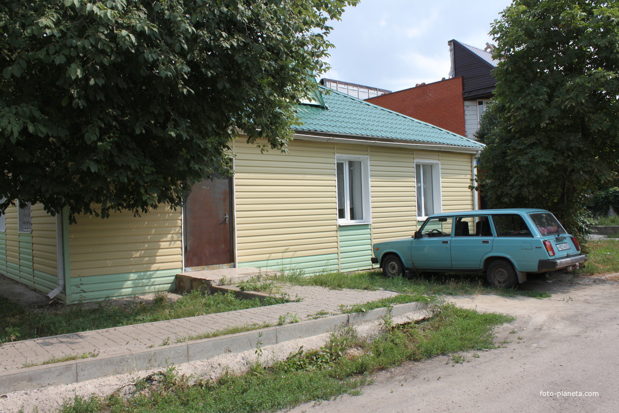 Новосадовый.