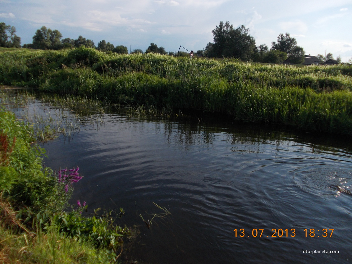 речка Тремля