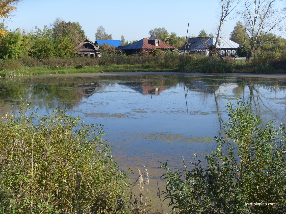 сельский  пруд, 2012 г.