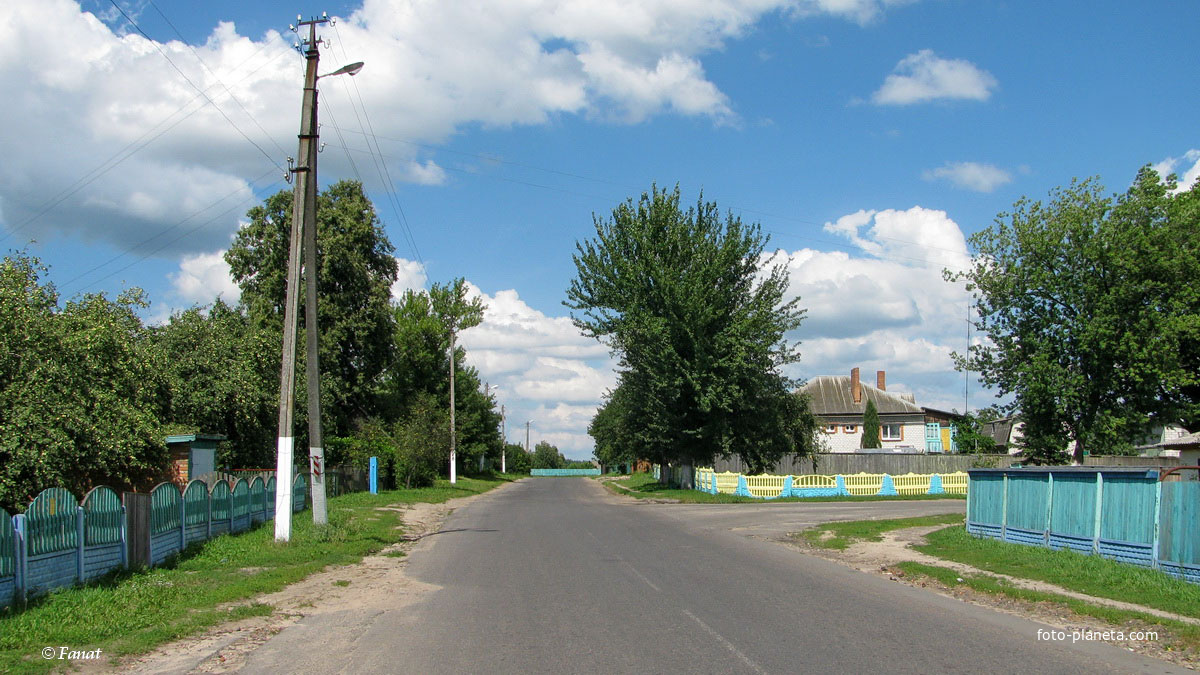 Дорога в сторону автодороги Светлогорск - Речица
