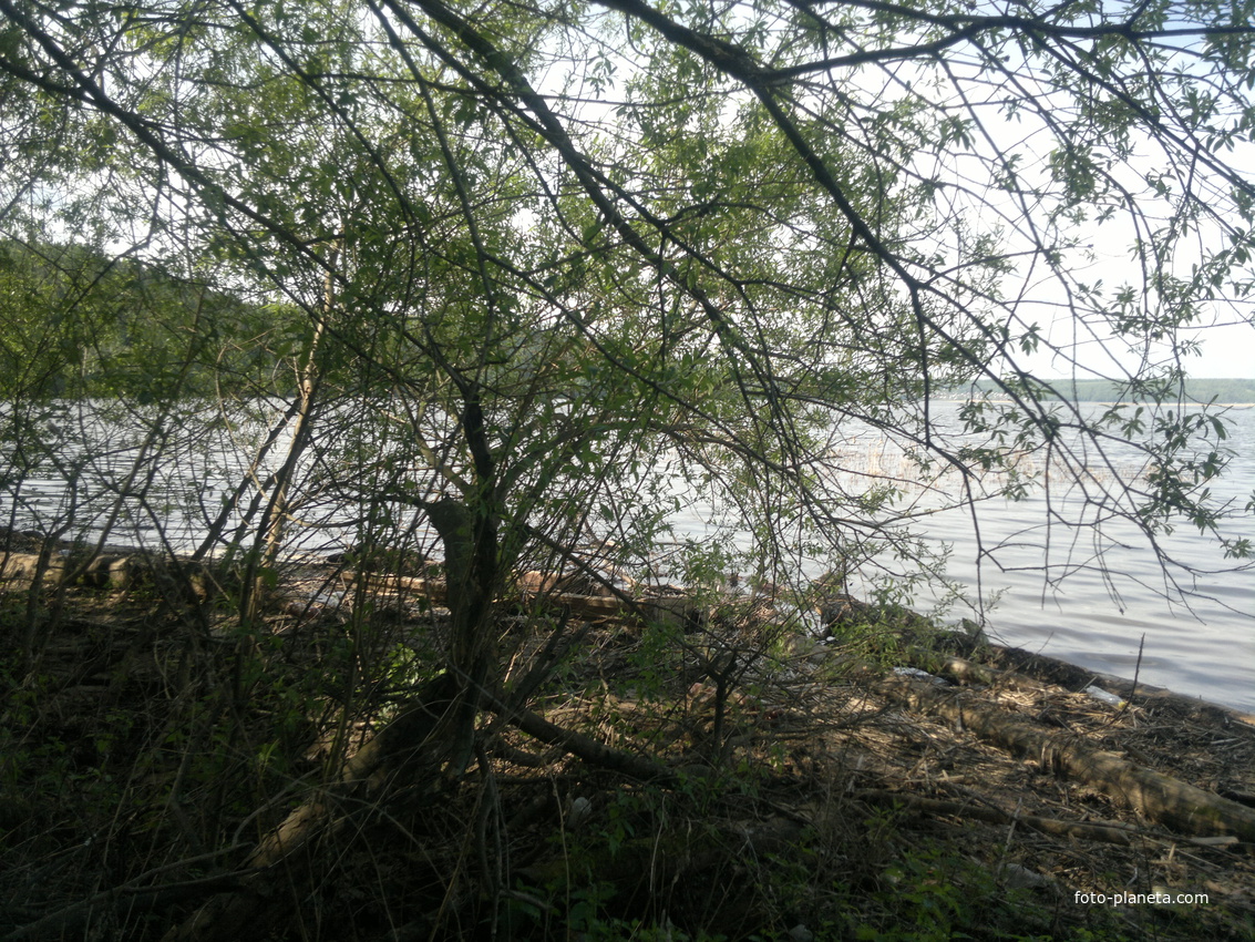 Сылва в д.Гари