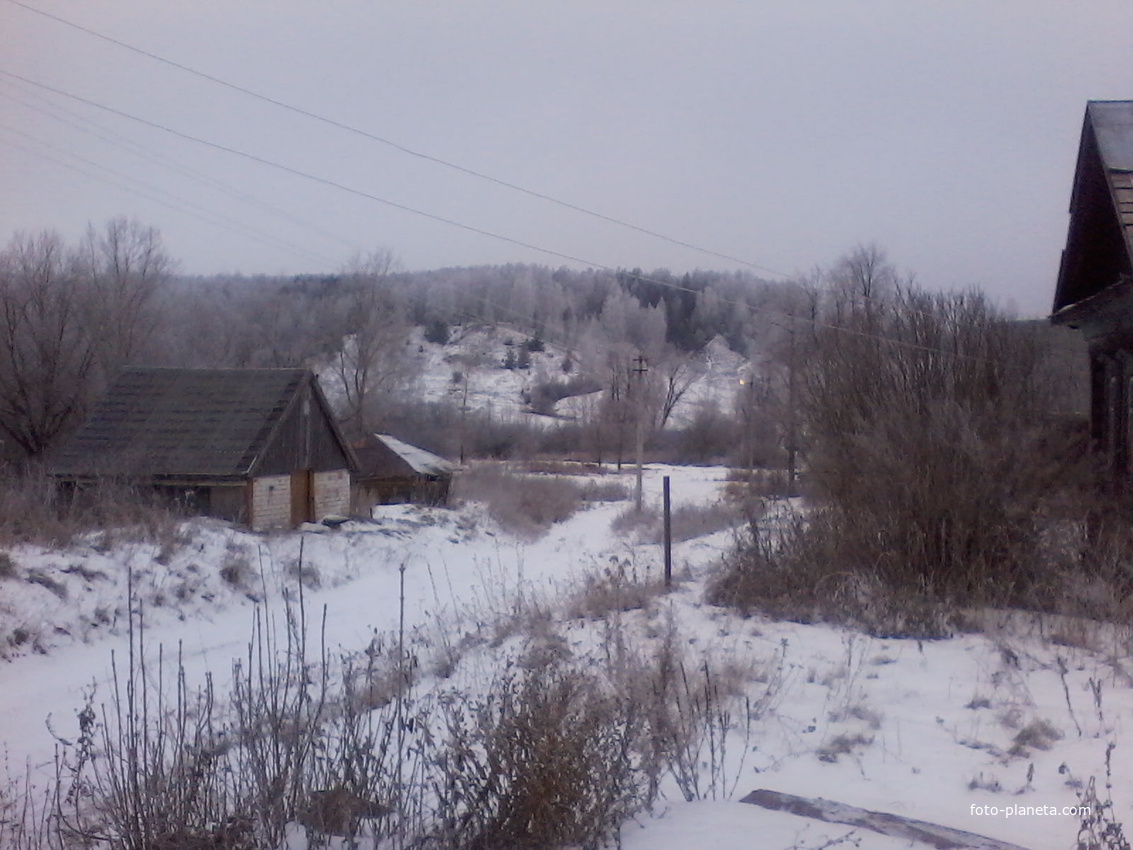 деревня Щедрино зимой.