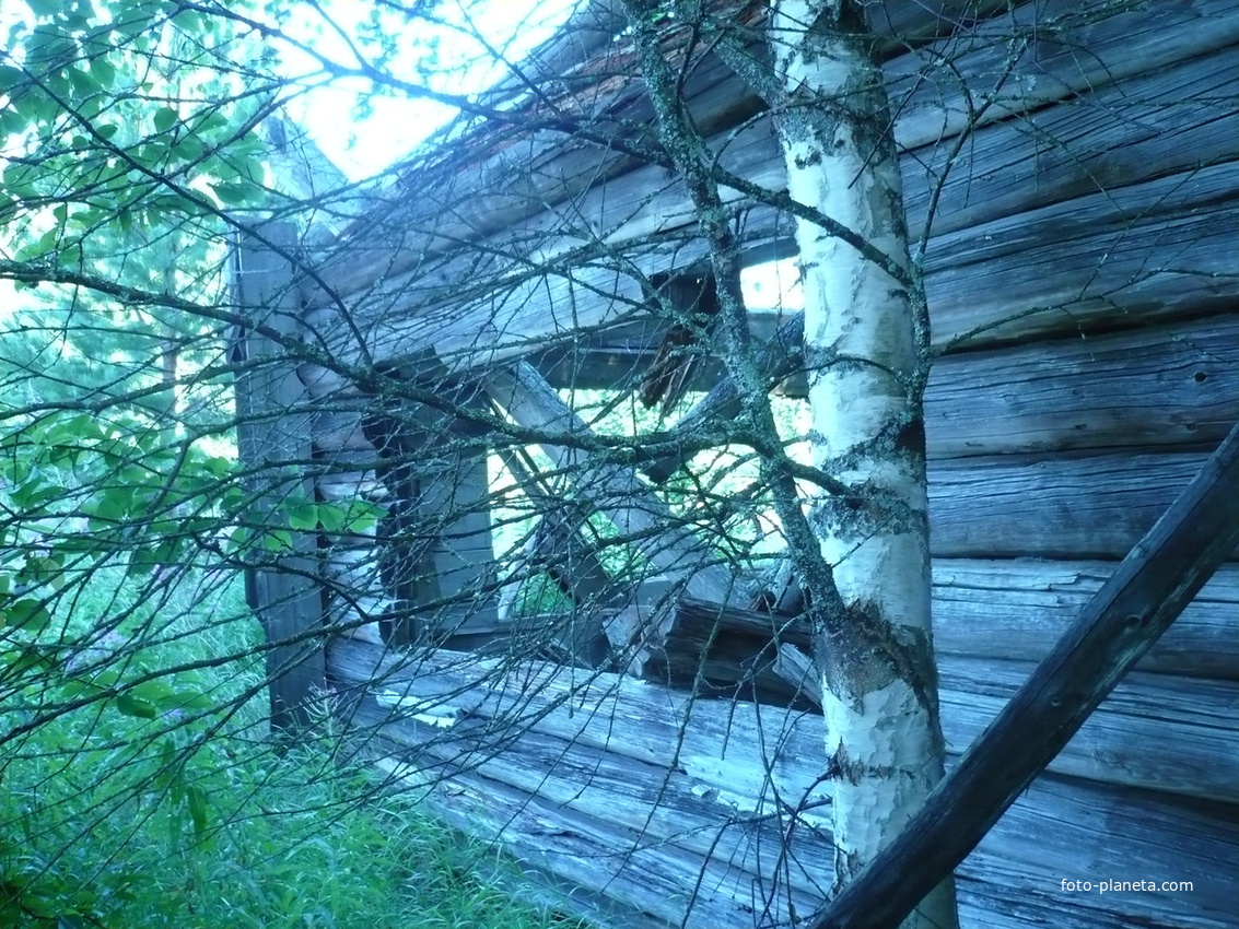 Дом т.Полины