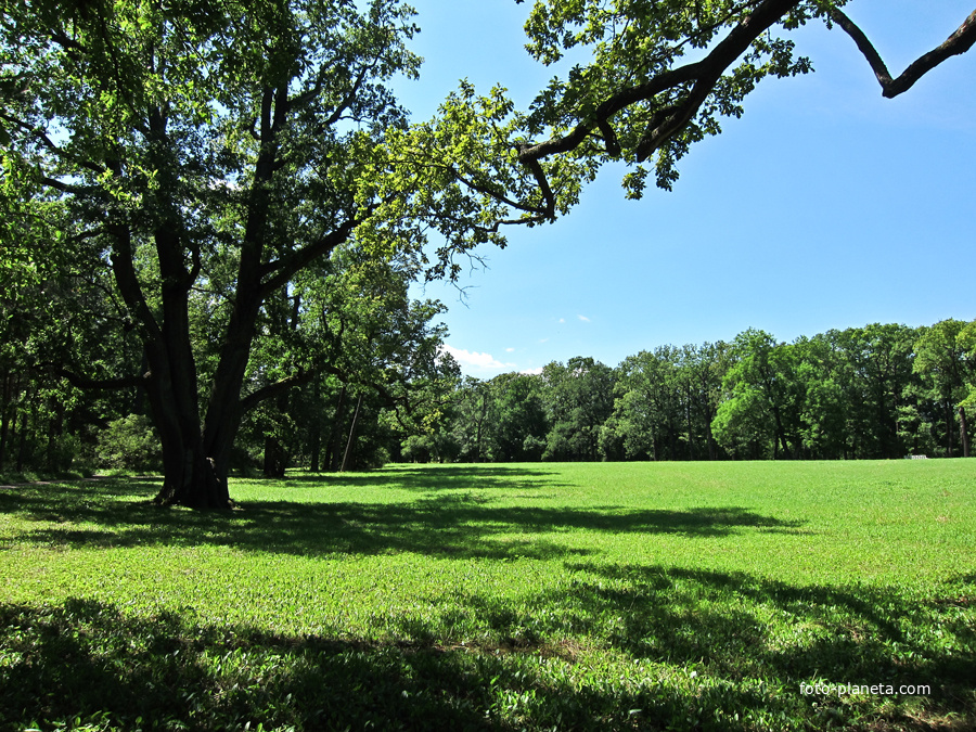 Екатерининский парк