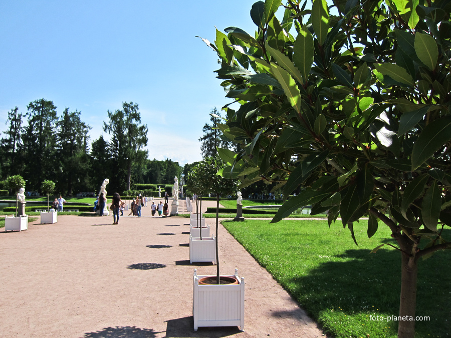 Екатерининский парк