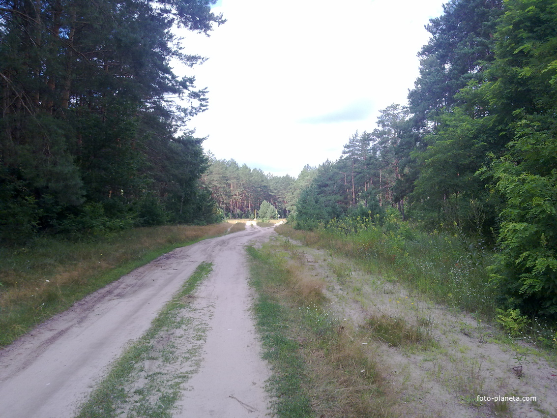 Дорога в сторону луга ( мостика )