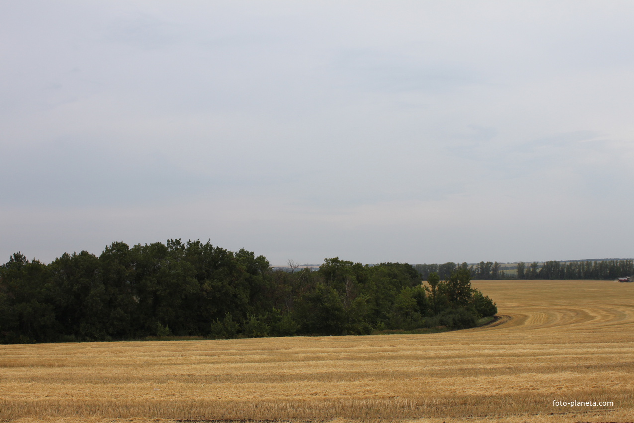 Головино. Поля возле села.
