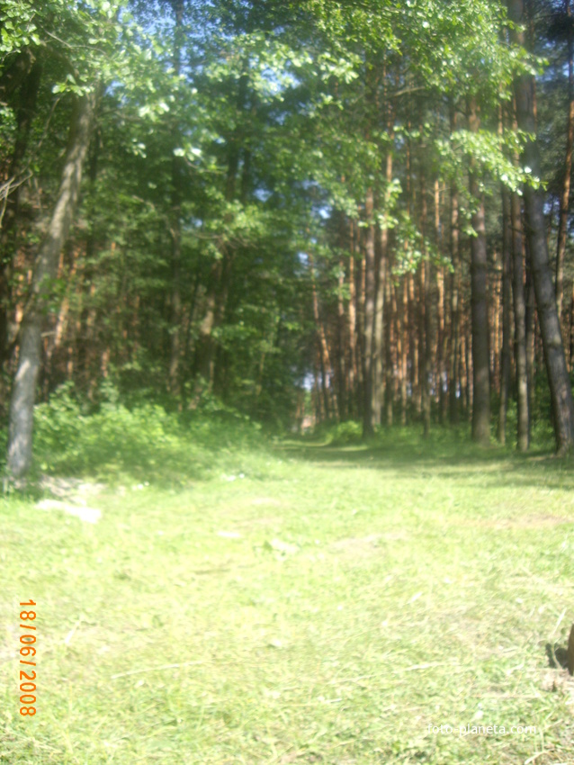 Дорога от Дубыны к Романинам