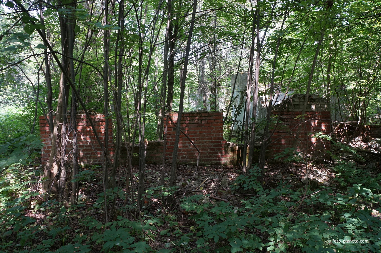 Заброшенное строение (бывшая территория усадьбы Шаховских, позже пионерского лагеря)