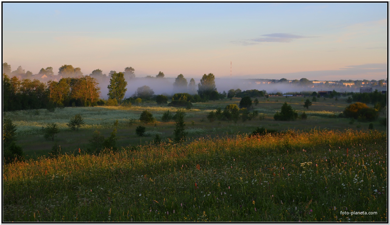 Луг у речки утром