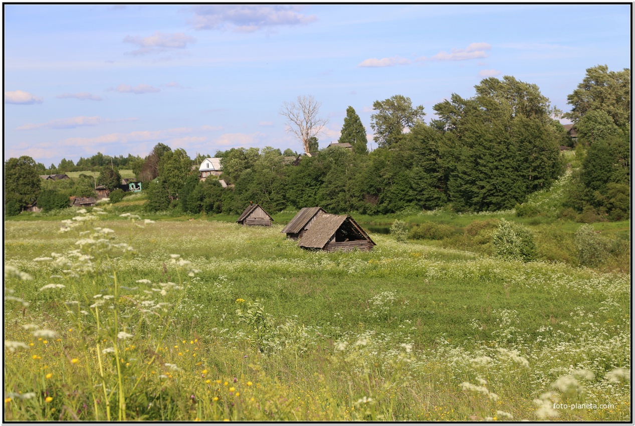 Баньки на берегу Цны.