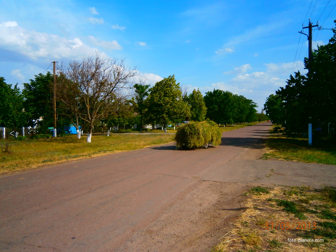 Вулиця Центральна