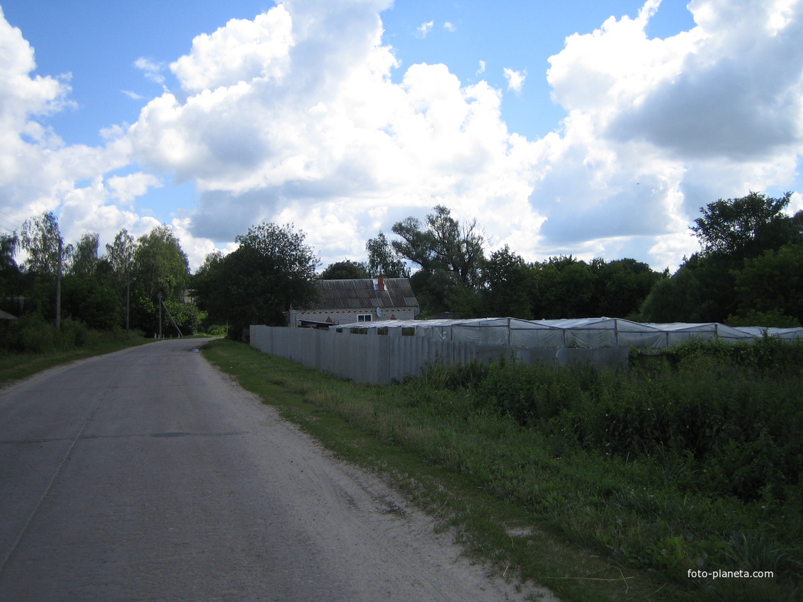 Село стародубское. Новомлынка Стародубский район. Село Левенка Стародубский район. Новомлынка Брянская область Стародубский район. Демьянки Стародубский район.