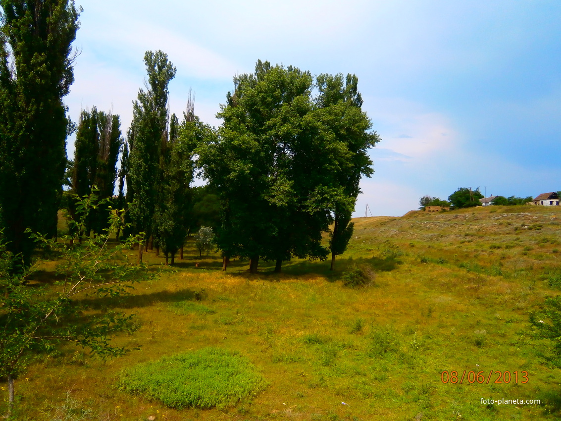 Балка.де випасають домашню худобу
