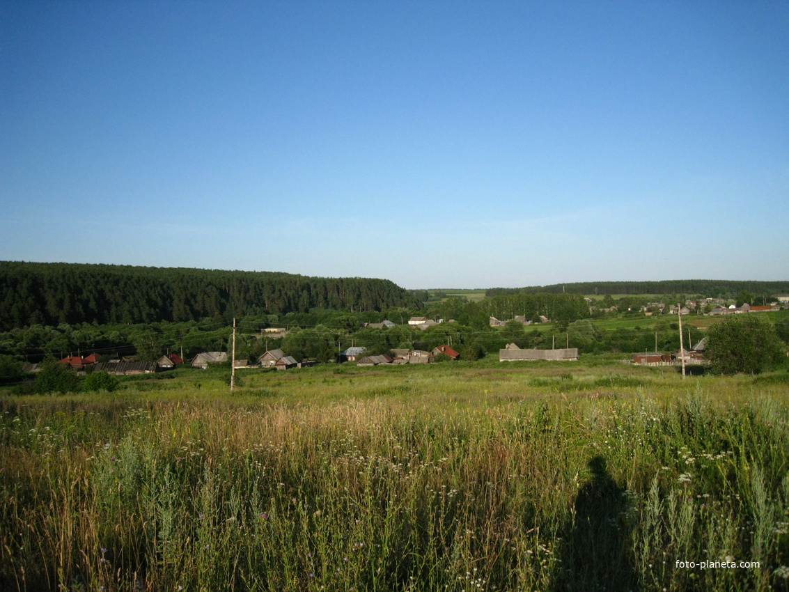 Вид на село со стороны тока