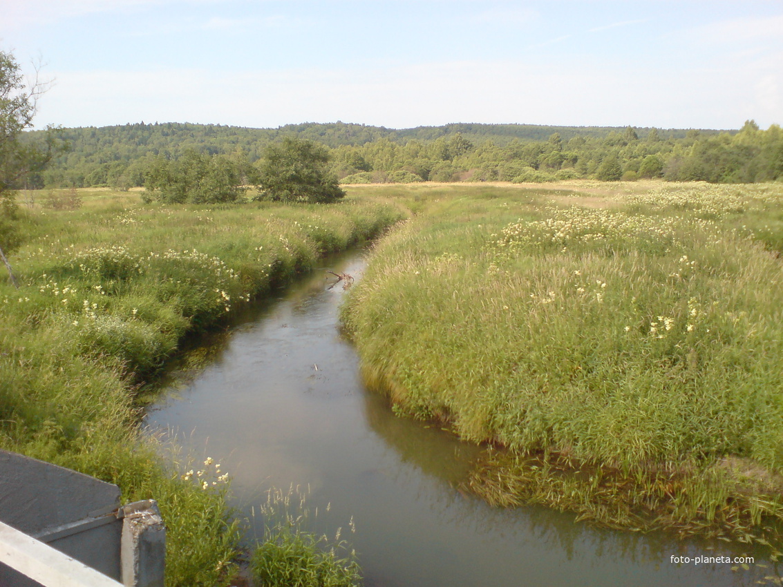 р.Сара близ деревни Филимоново