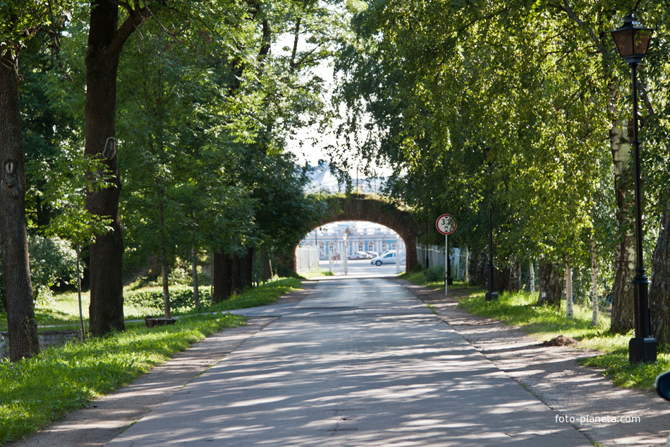 Дорога к Екатерининскому дворцу