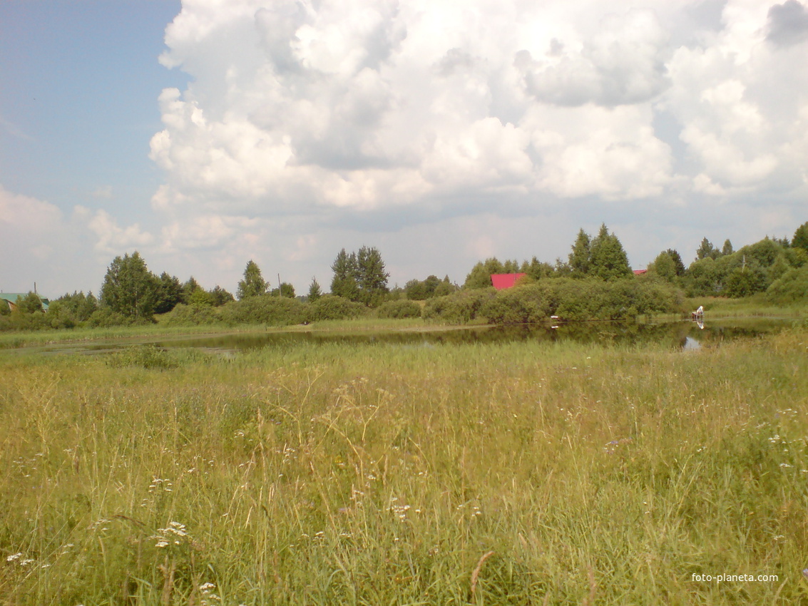 Пруд в селе Новотроицкое