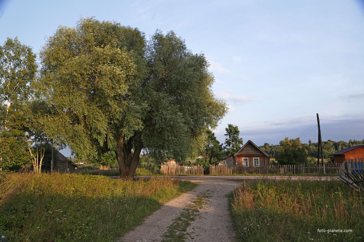 Вид на домик Нины Петровны.