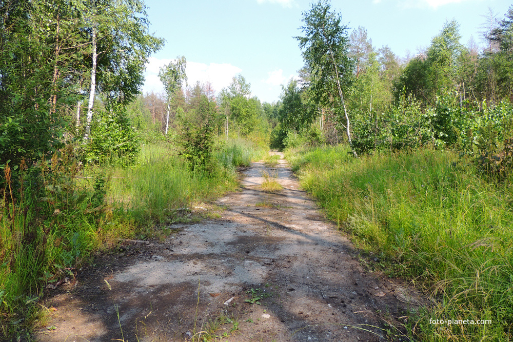 Пирочи в/ч 98930