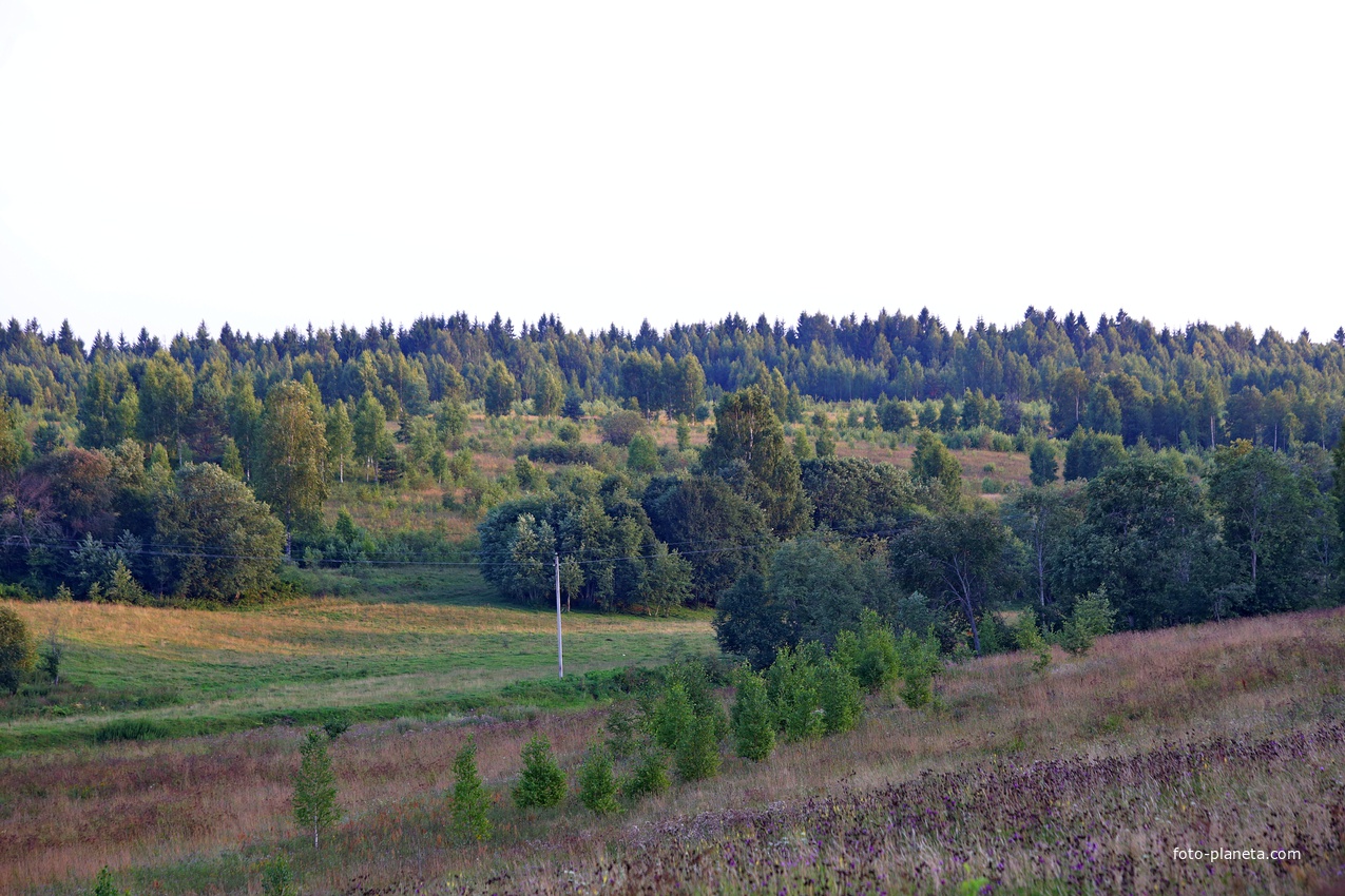 Альпаковские дали.