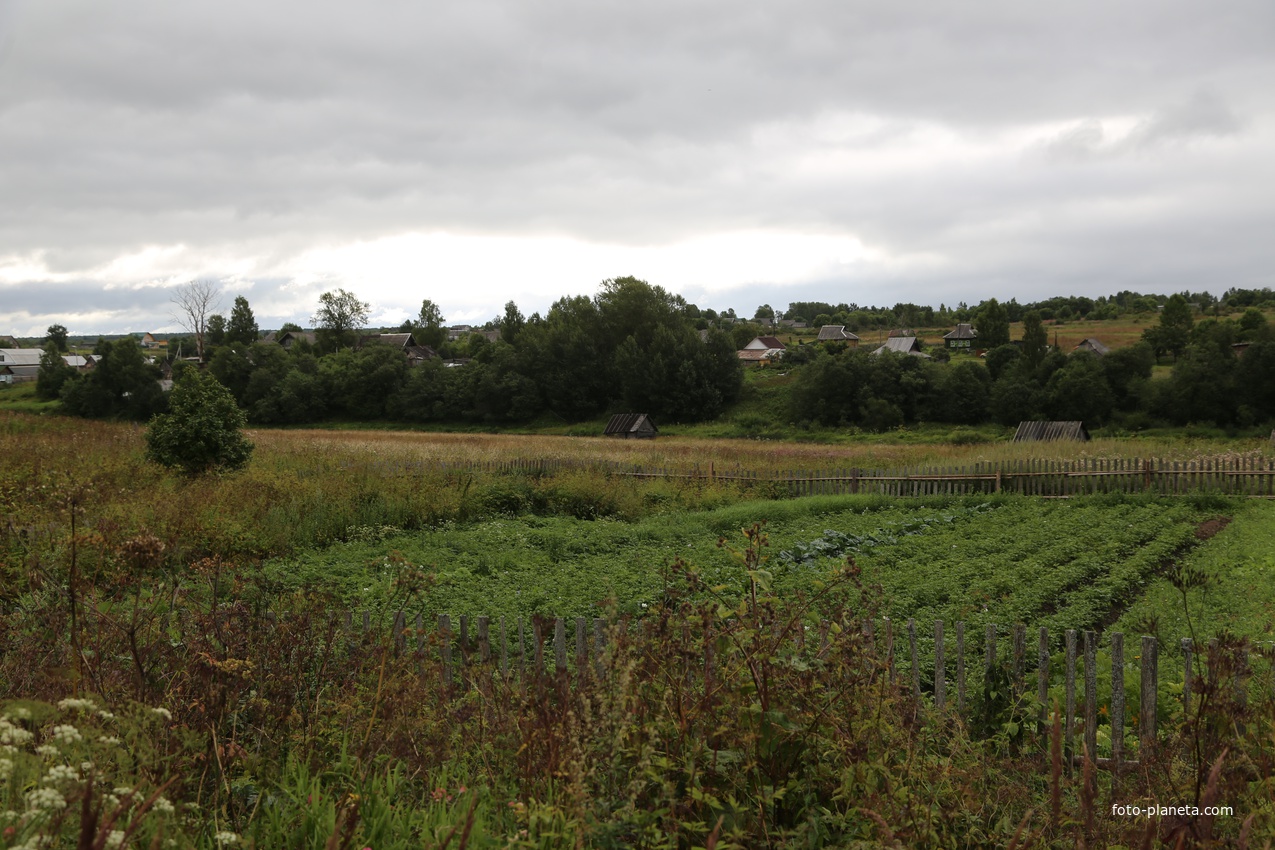 Огород у реки.