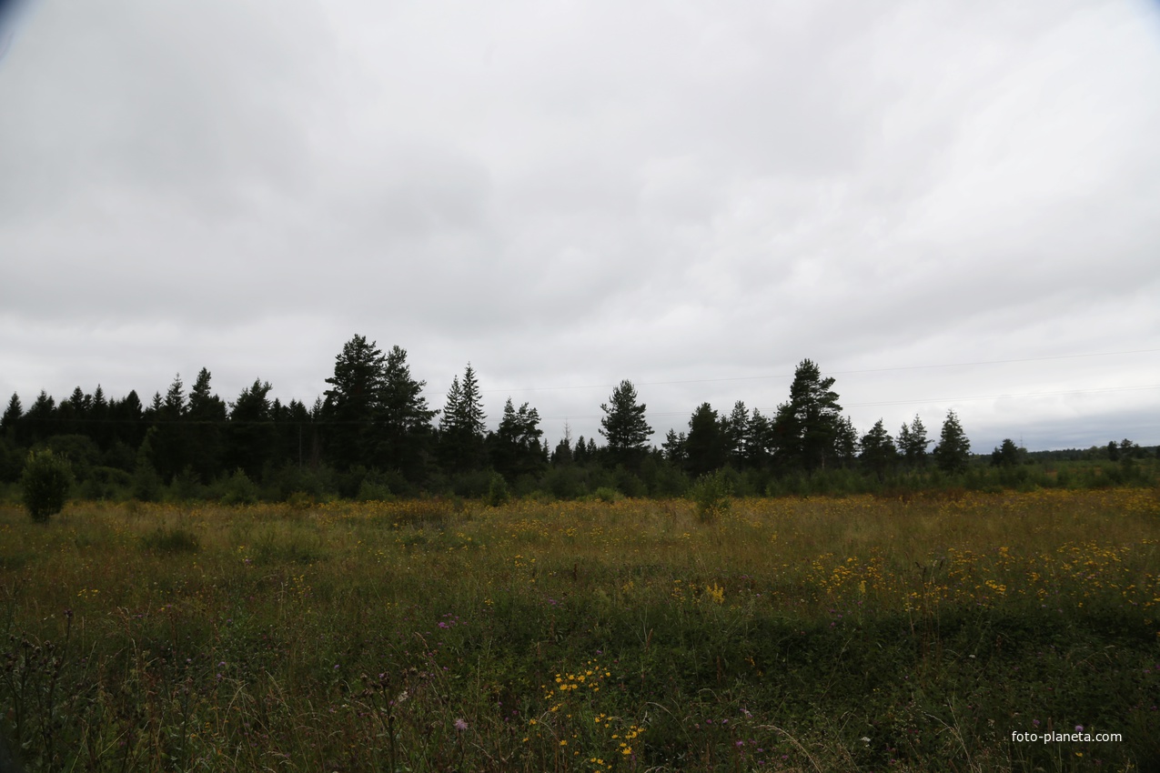 На Маленькой дорожке.