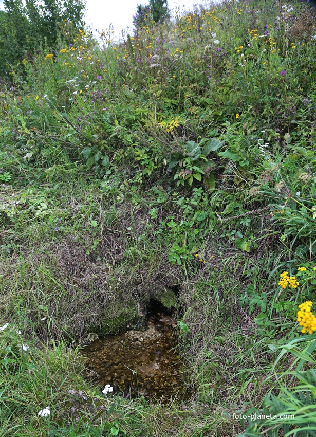 Верхний родничек.