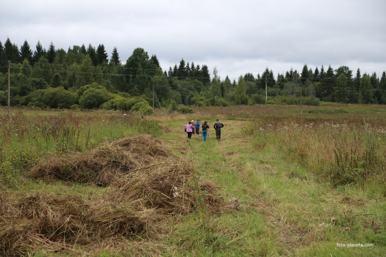 Конец сенокоса.