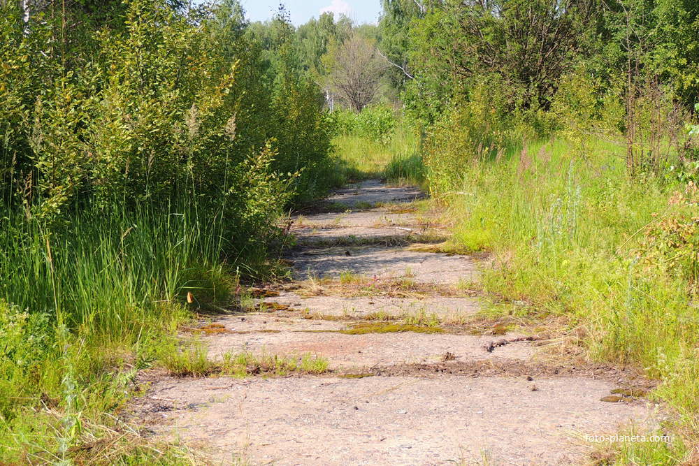 Пирочи в/ч 98930