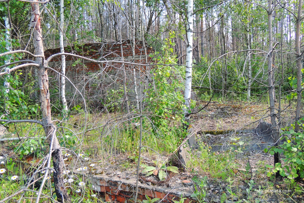 Пирочи в/ч 98930