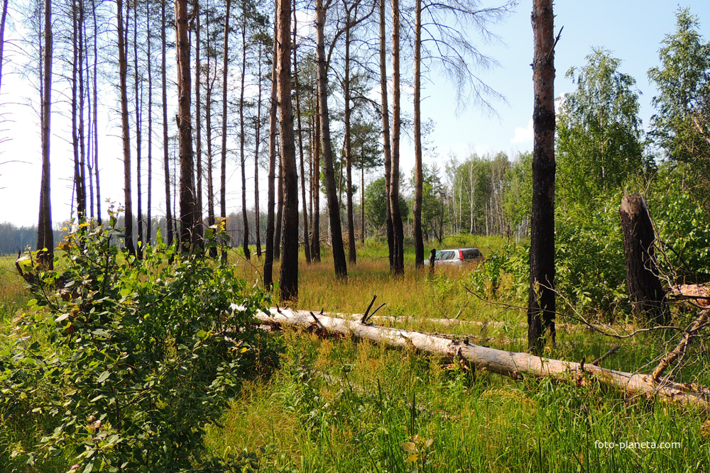 Пирочи за в/ч 98930