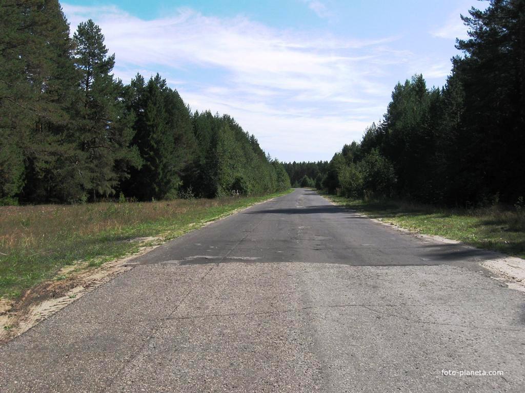 Дорога из посёлка в райцентр - г. Ветлугу