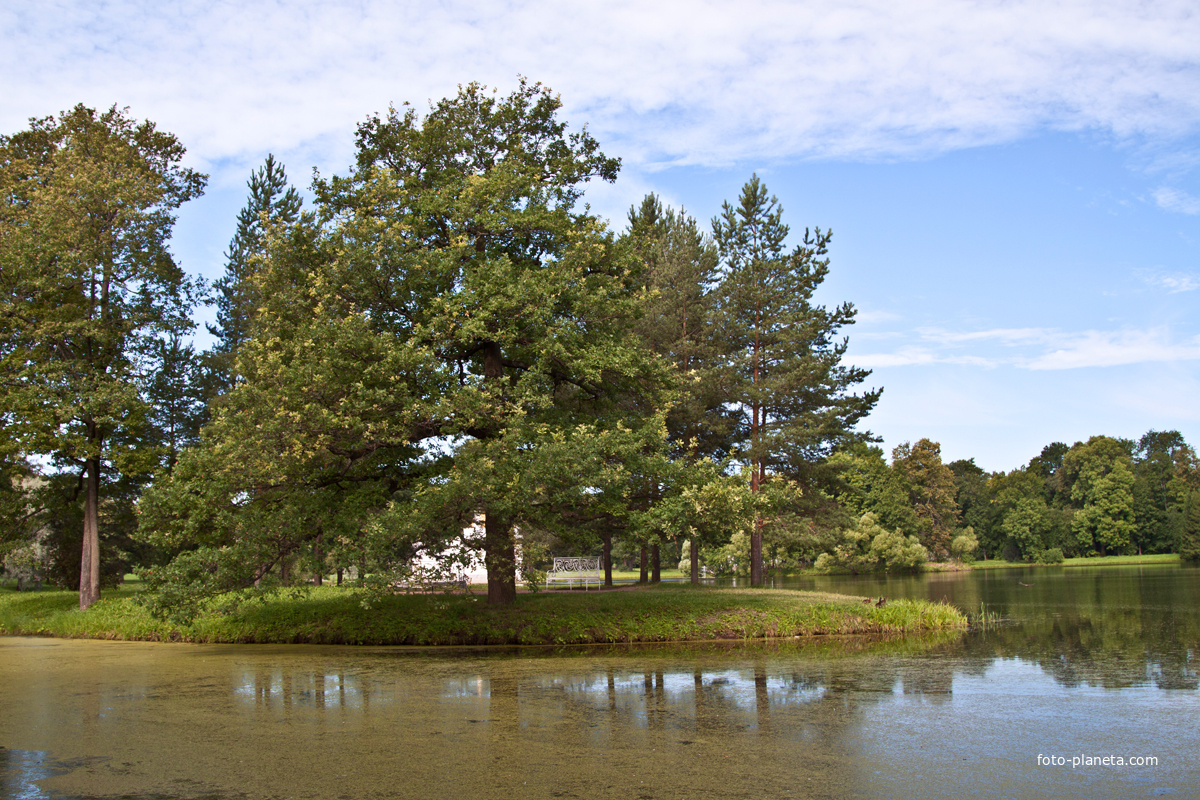 Екатерининский парк
