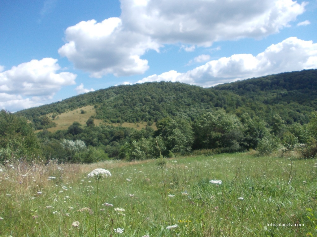 Літні краєвиди