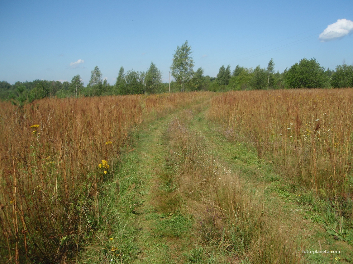 Дорога из Михайловки на Знаменку