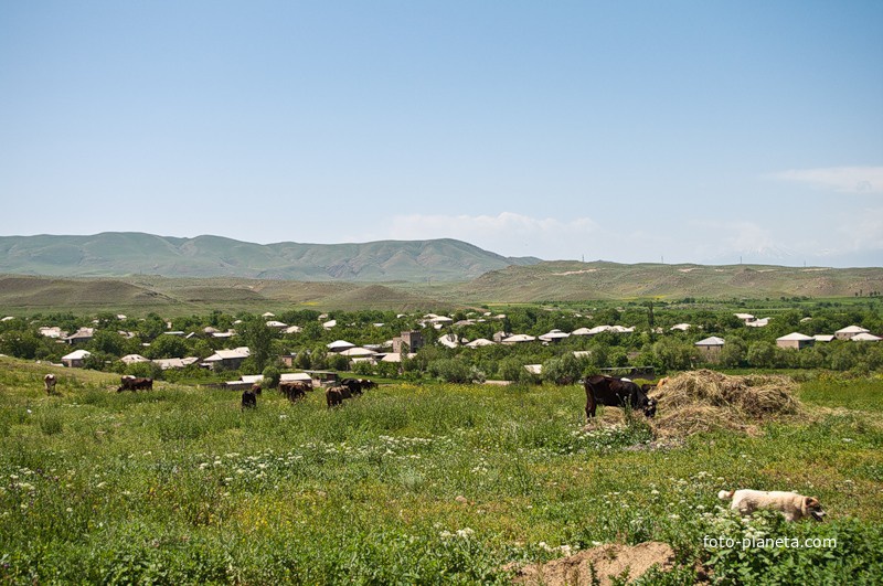 Встреча с армянскими пастухами