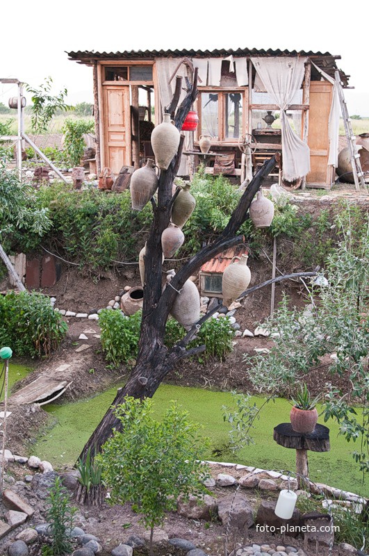 Кувшиновое дерево в музее под открытым небом