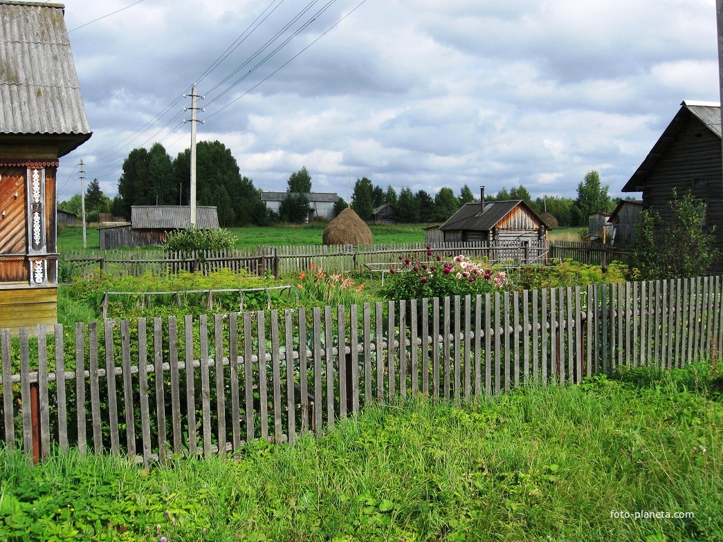 Такой вид