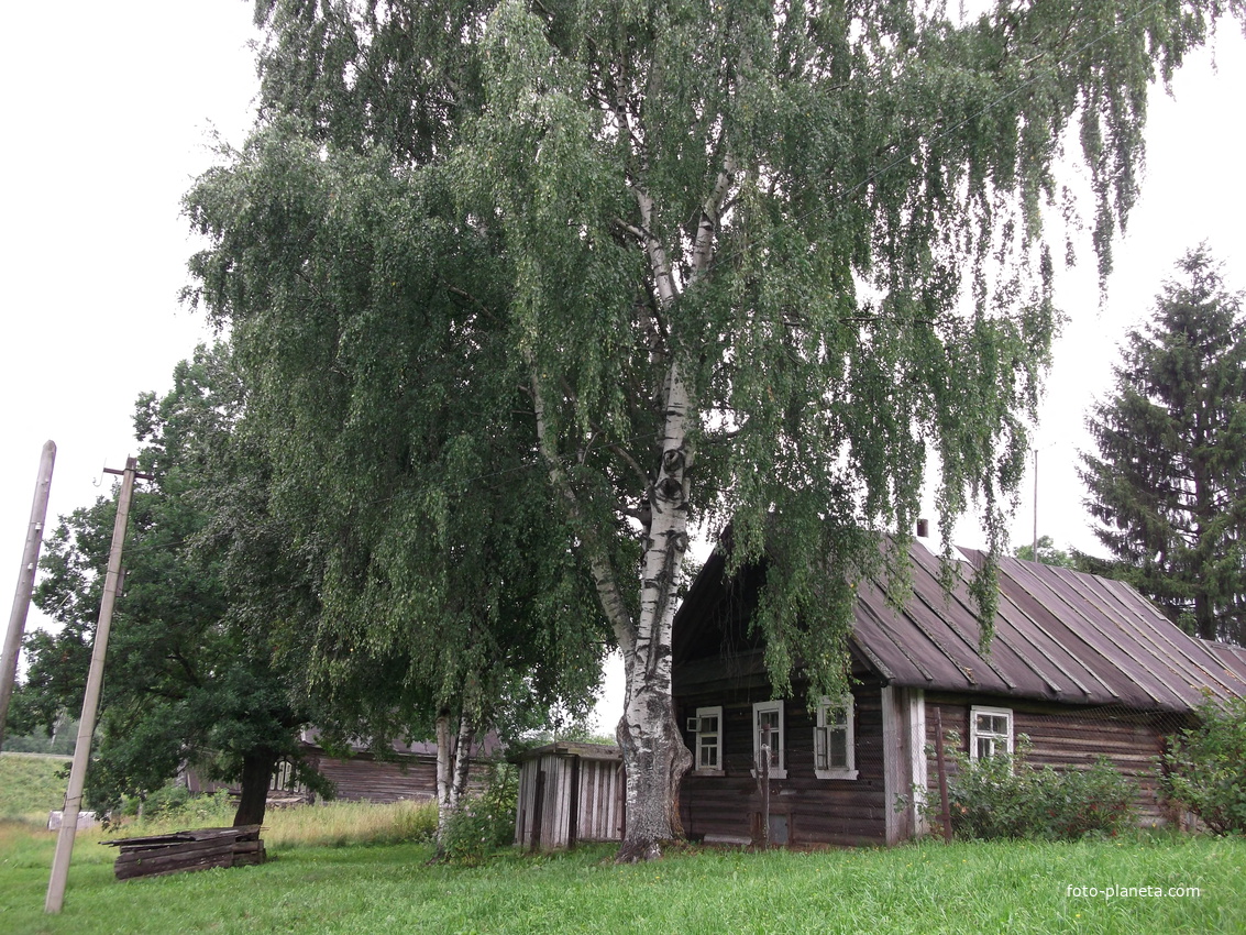 Жерновка,дом Степановых
