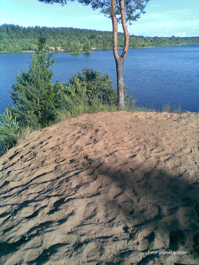 Мга малуксы. Озеро Малукса. Озеро Малукса Ленинградская область. Старая Малукса озеро. Мга озеро Малукса.