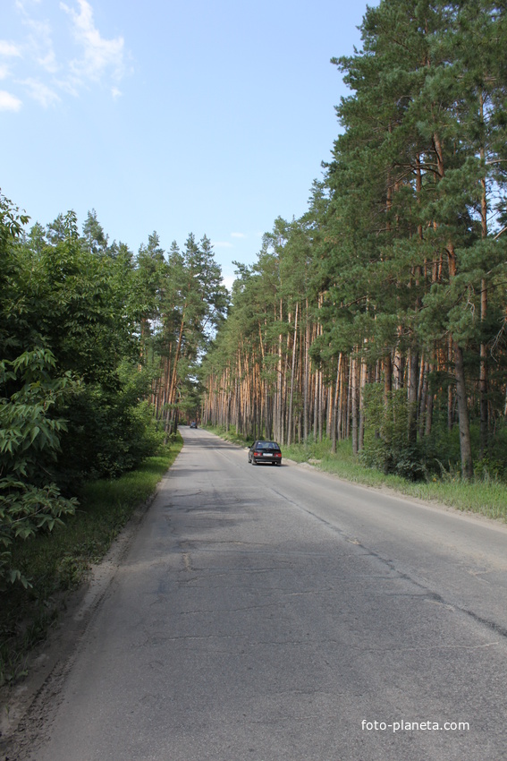 Безлюдовка. Дорога при въезде в село.