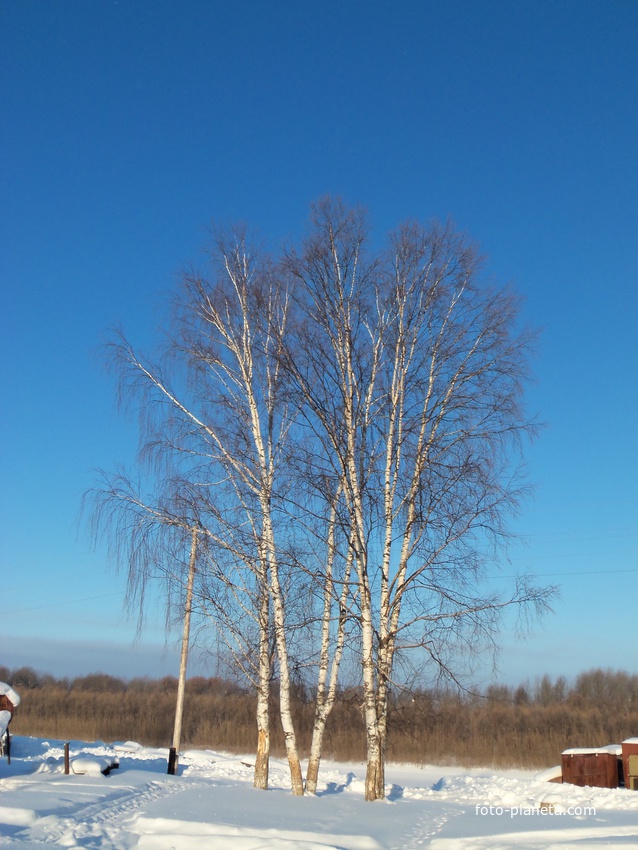 Новый Тевриз