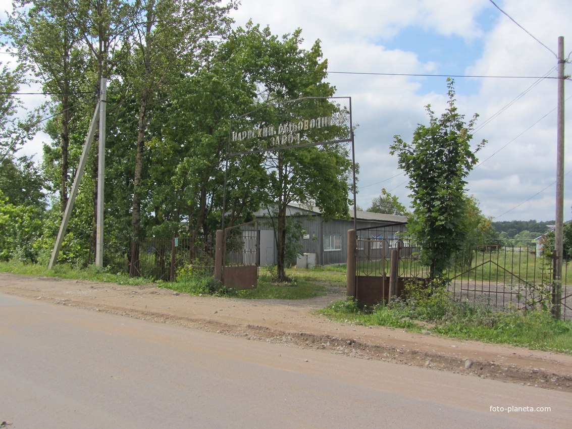 Нарвский рыборазводный комбитат в Ивангороде.