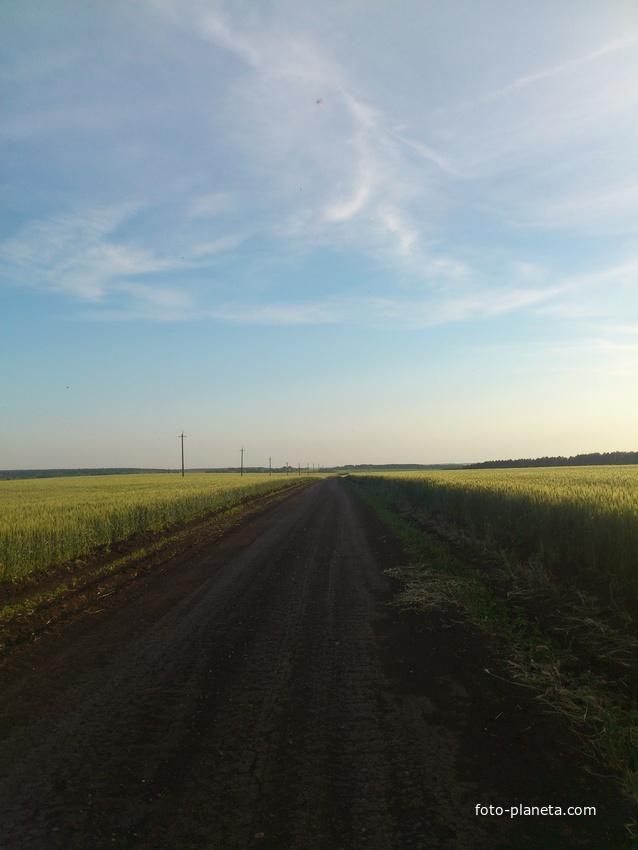 Дорога в Редькино