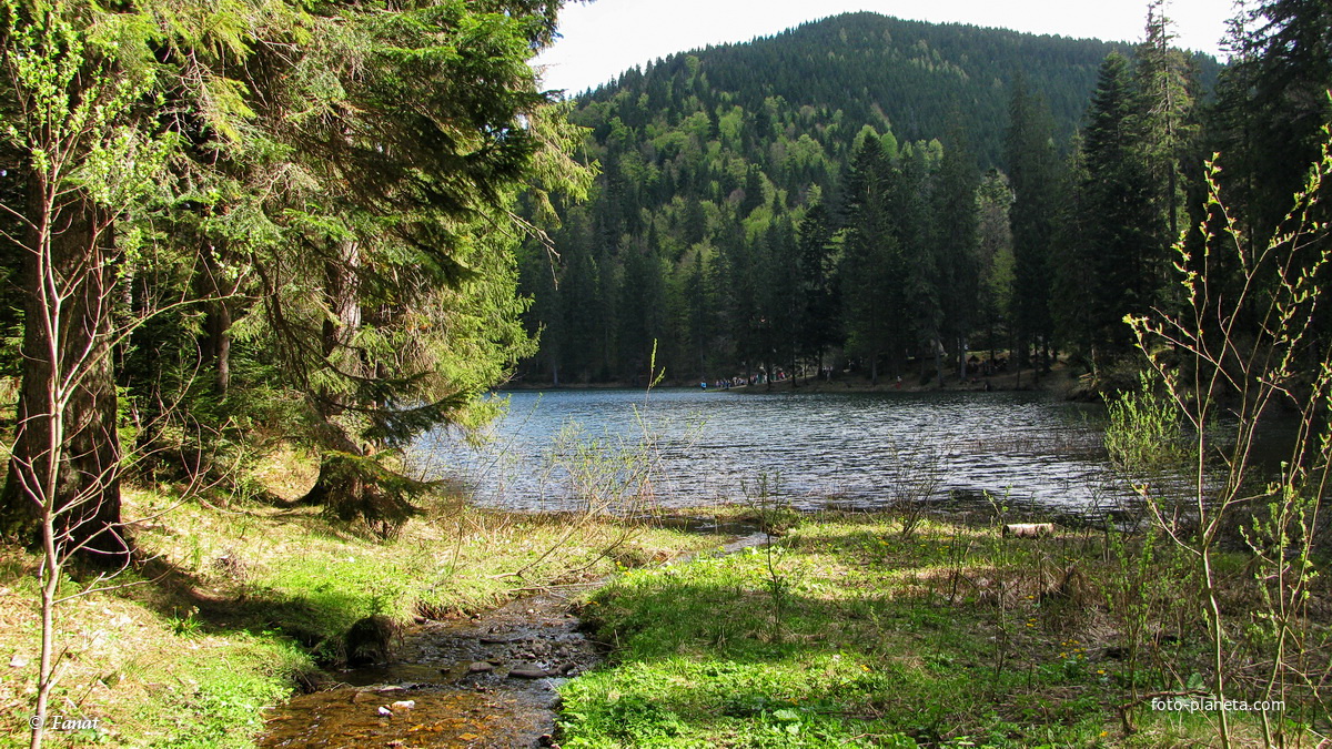 Озеро Синевир и ручей