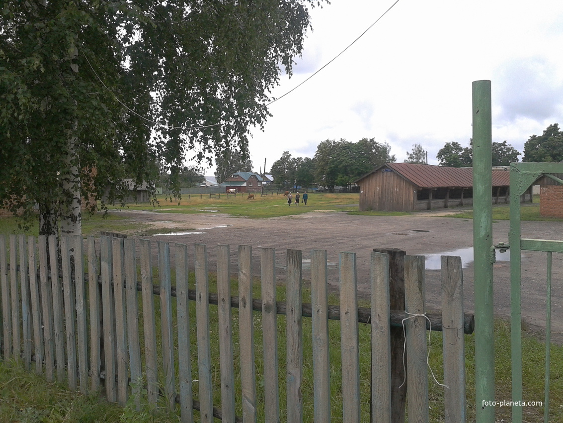 Базар отдыхает. 2012.06.29