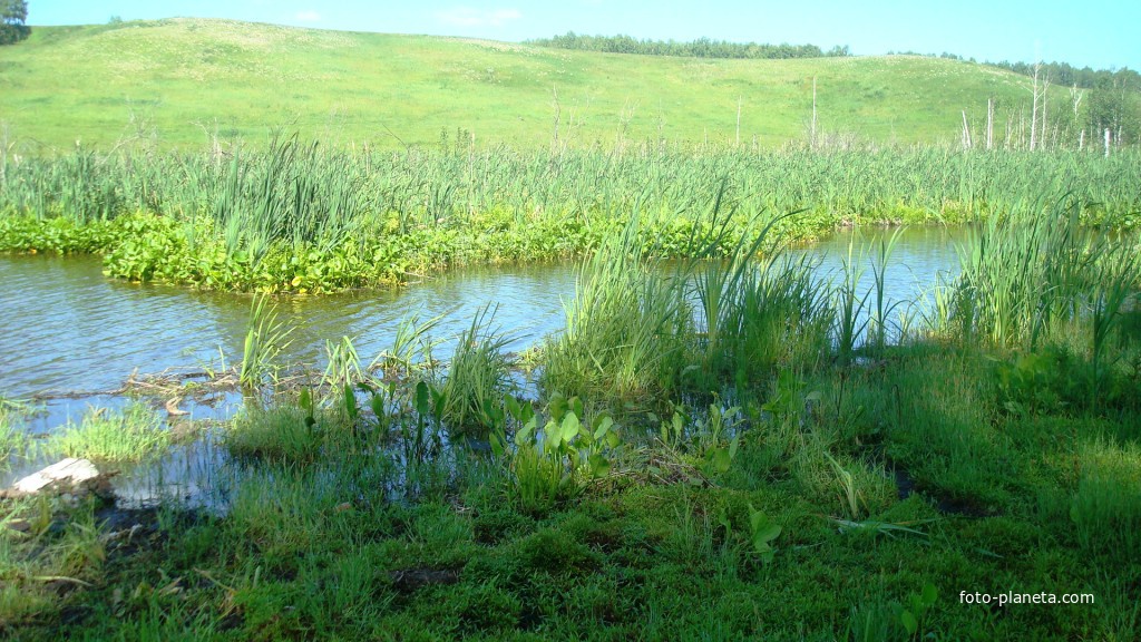 Пруд у пос. Клюквенный