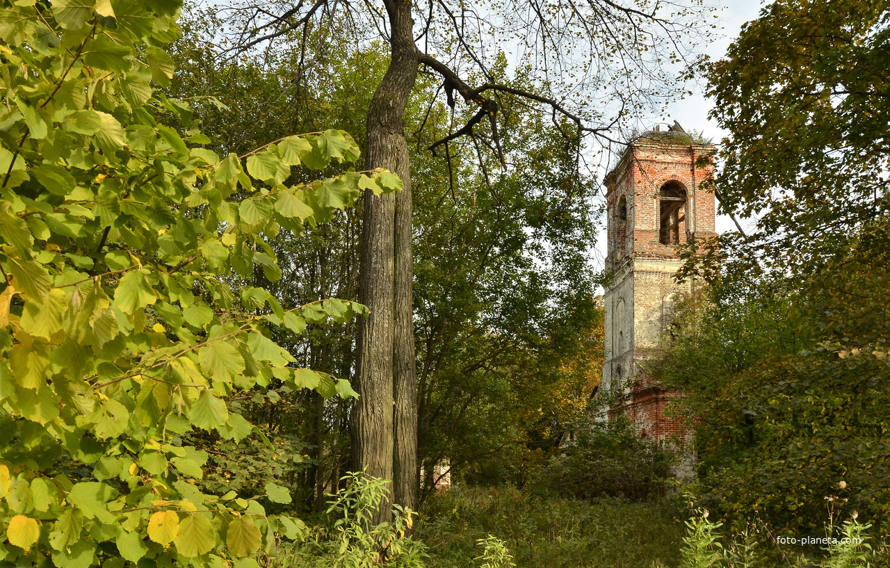 Усадьба Давыдовское(Давидовское). Пример дворянской усадьбы 18 века, перешедшей во 2-й половине 19 века в купеческие руки; от первого периода сохранилась церковь и регулярный парк, от второго-жилой дом.